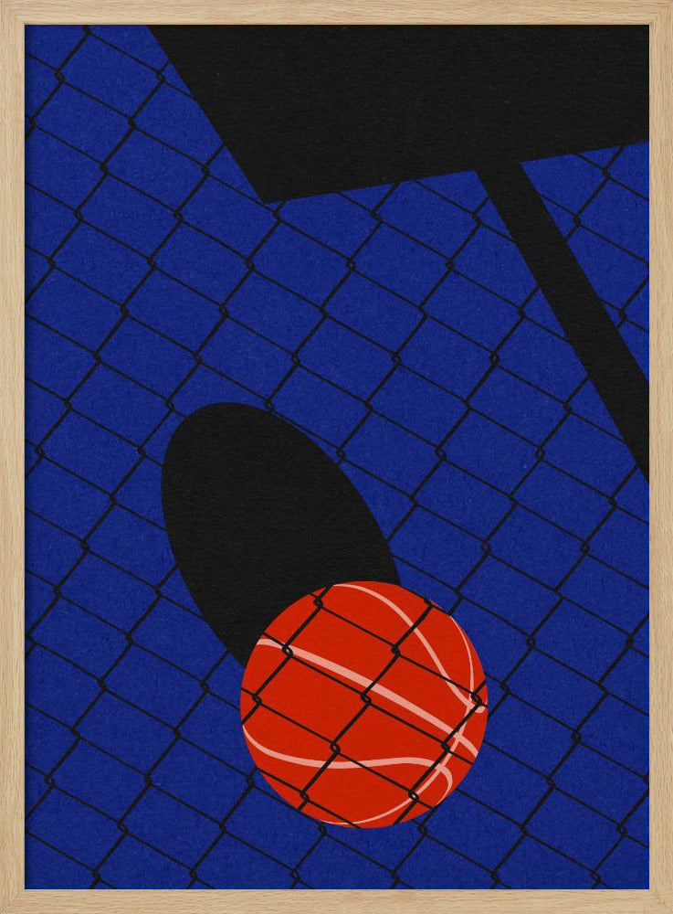 Backjard Basketball Court Poster