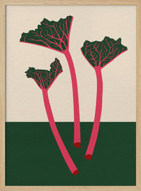 Swedish Garden Rhabarber Poster