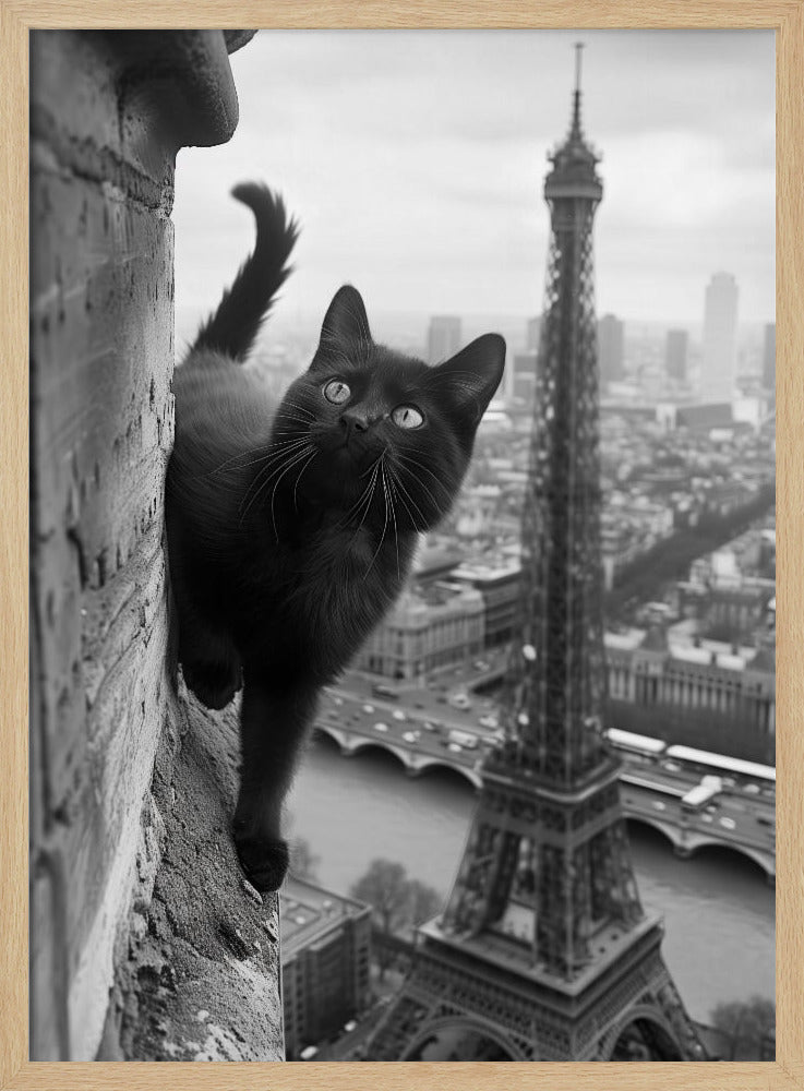 Kitty in Paris Poster