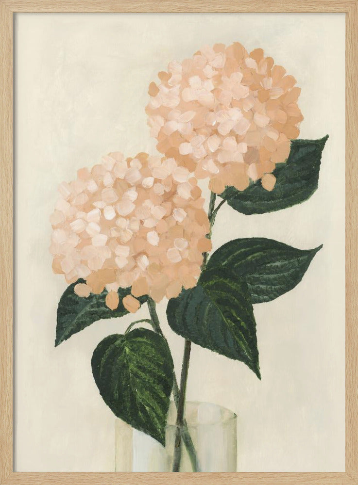 Coral hydrangeas in a vase Poster