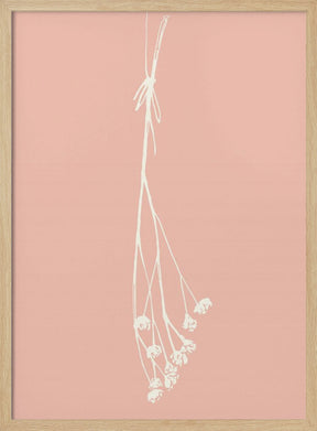 Gypsophila ink sketch I (cream, pink) Poster