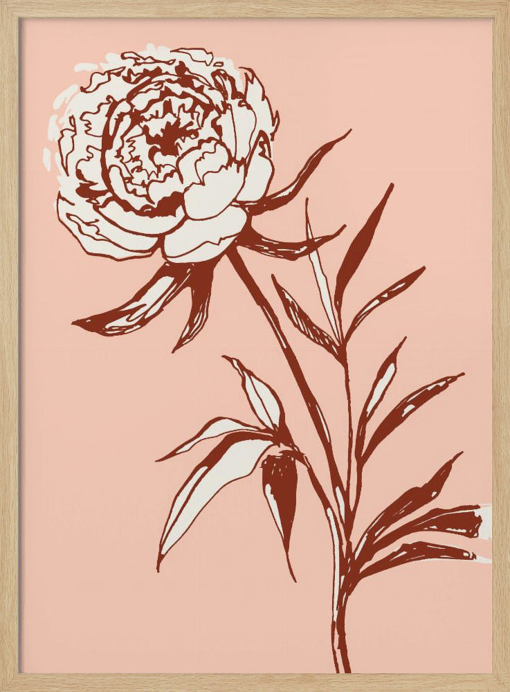 Loose peony ink sketch (pink) Poster