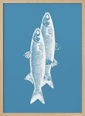 Pescados Poster