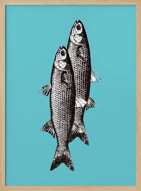 Sardinas Poster