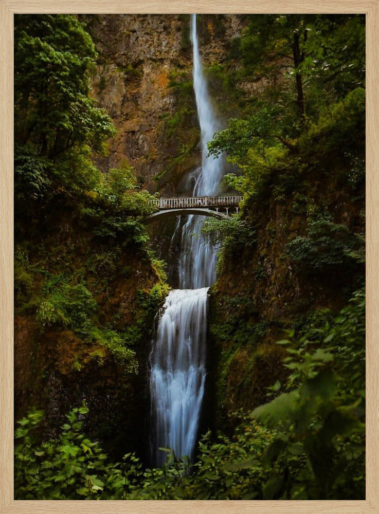 Multnomah Falls Poster