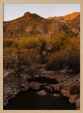 Ventana Canyon Poster