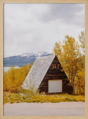 Colorado Cabin Poster