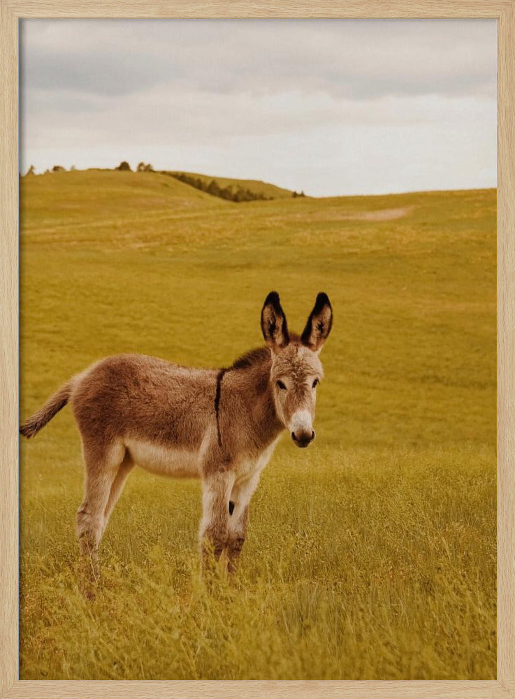 Yes, Donkey Poster