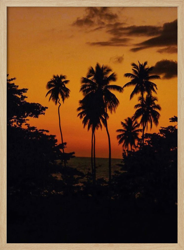 Squiggly Palm Sunset Poster