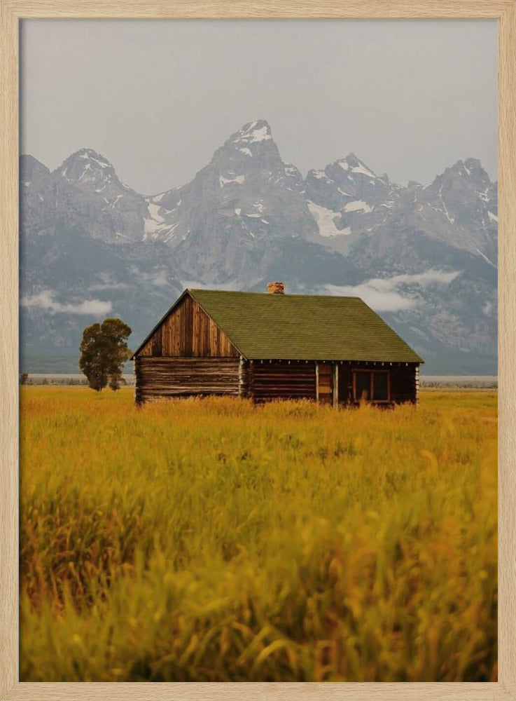 Teton Valley Poster