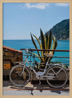 Monterosso al Mare Poster