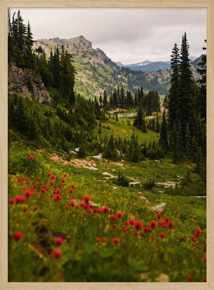 Mount Rainier Paintbrush Poster