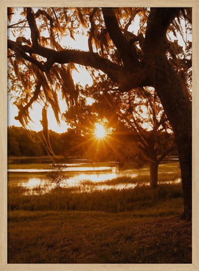 Low Country Sunset Poster