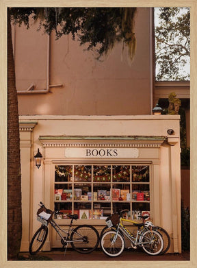 Books &amp; Bicycles Poster