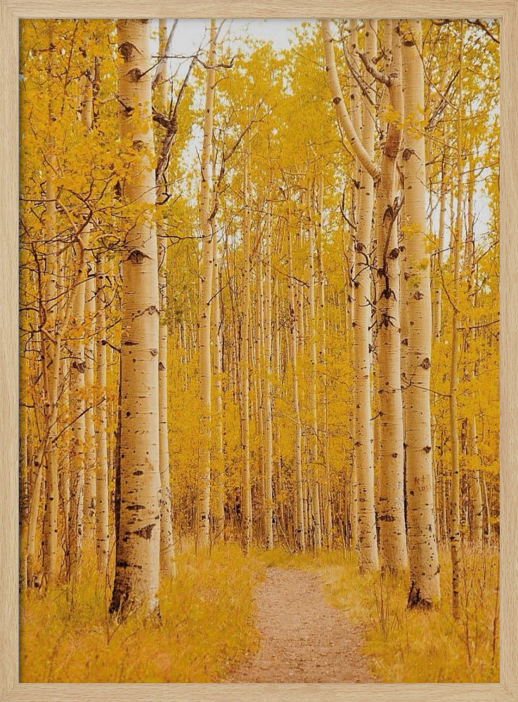 Aspen Alley Poster