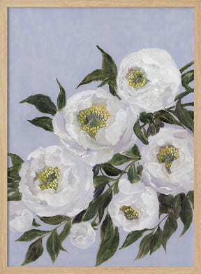 Evadne peonies in lilac Poster