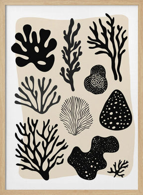 Coral Collection (black) Poster