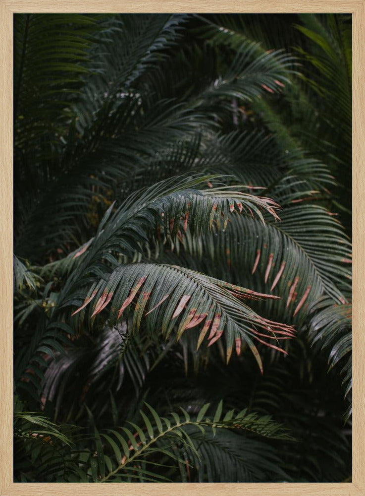 Tropical Green Poster