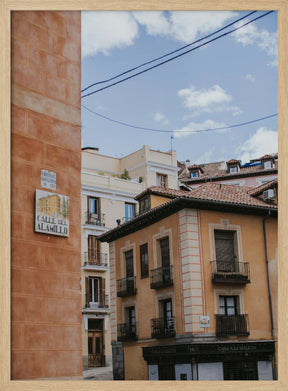 Calle del Alamillo Poster