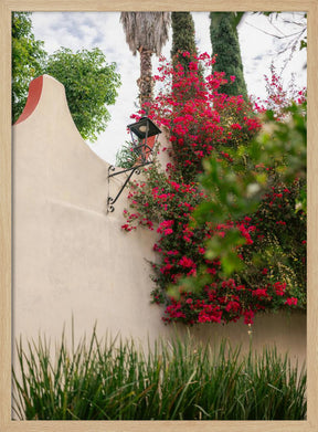 Details of San Miguel de Allende Mexico Poster