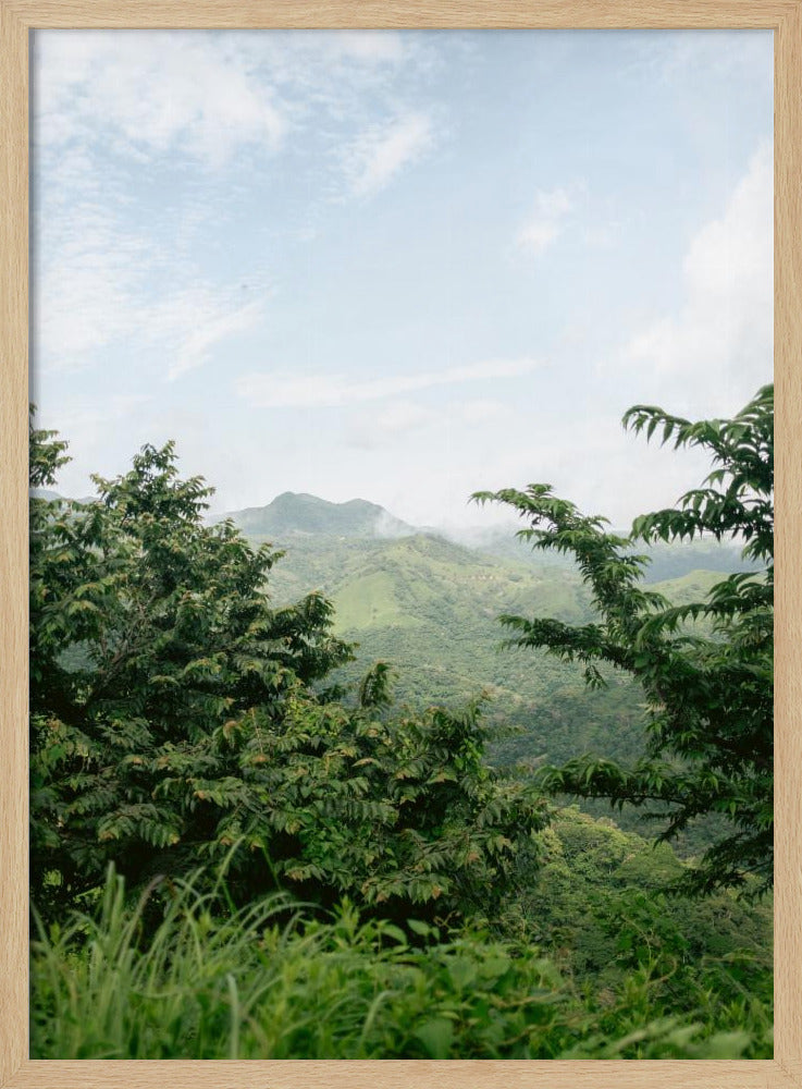 Greens of Monteverde Costa Rica Poster