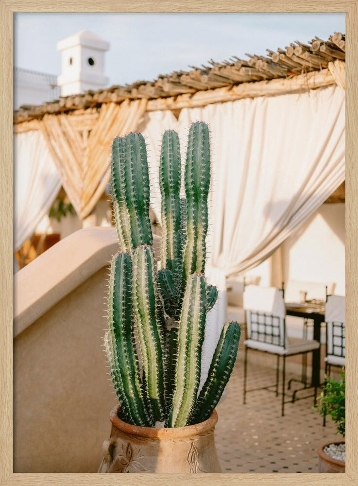 Rooftop Cactus | Morocco Travel Photography Poster