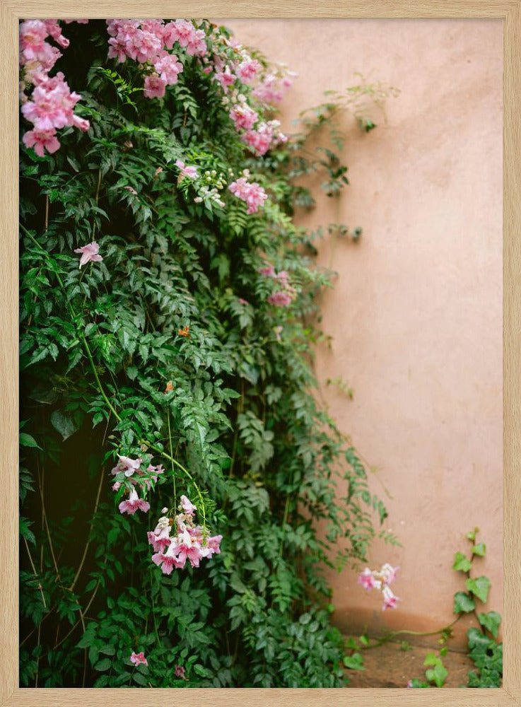 Flowers of Marrakech Poster