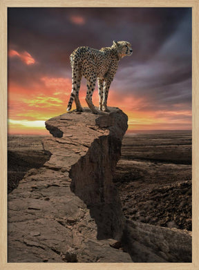 CheetahPeek Poster