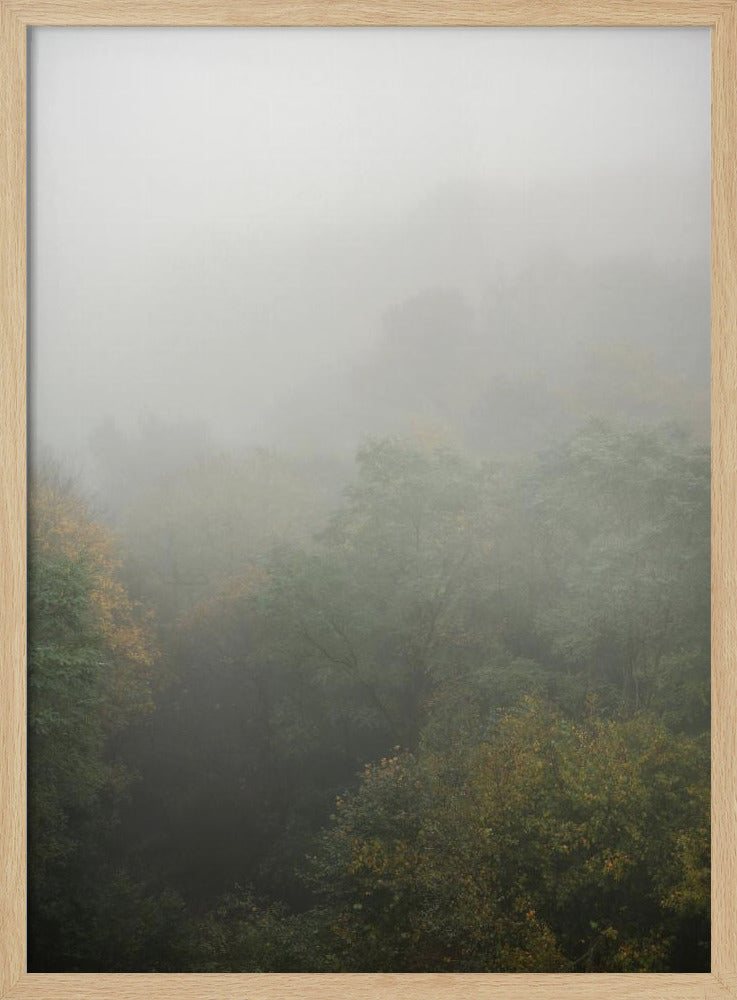 Foggy Autumn Forest Poster