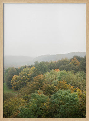 Autumn Forest Canopy | Serene Landscape Photography Poster