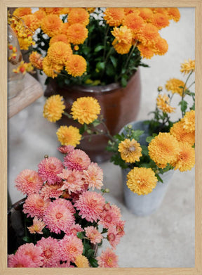 Chrysanthemum Blooms | Autumn Floral Still Life Poster