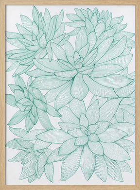 Turquoise Succulents Poster