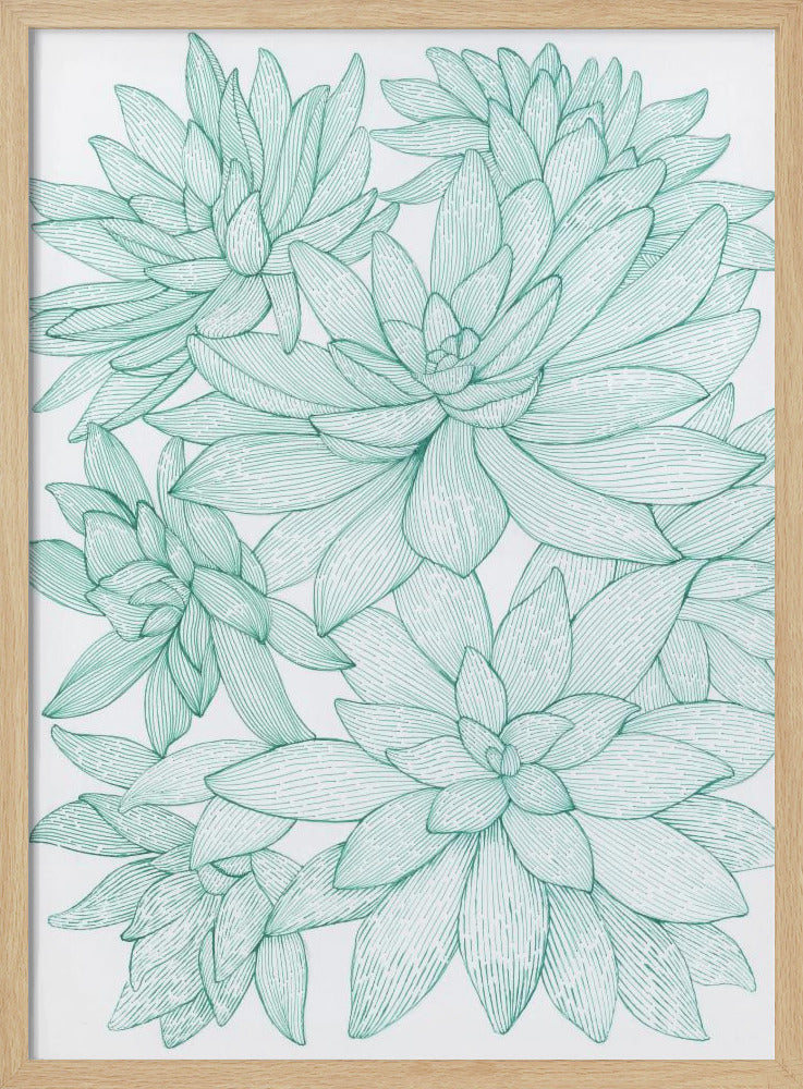 Turquoise Succulents Poster