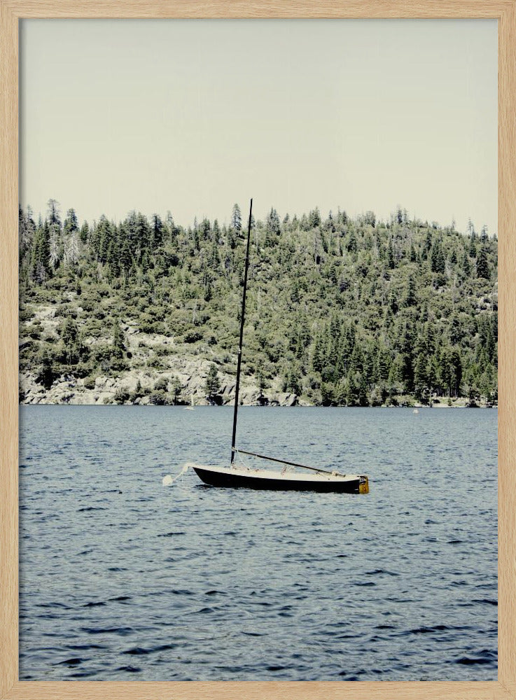 Boat On Pinecrest Poster