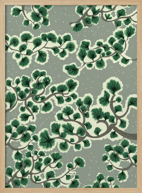 Bonsai Trees Poster