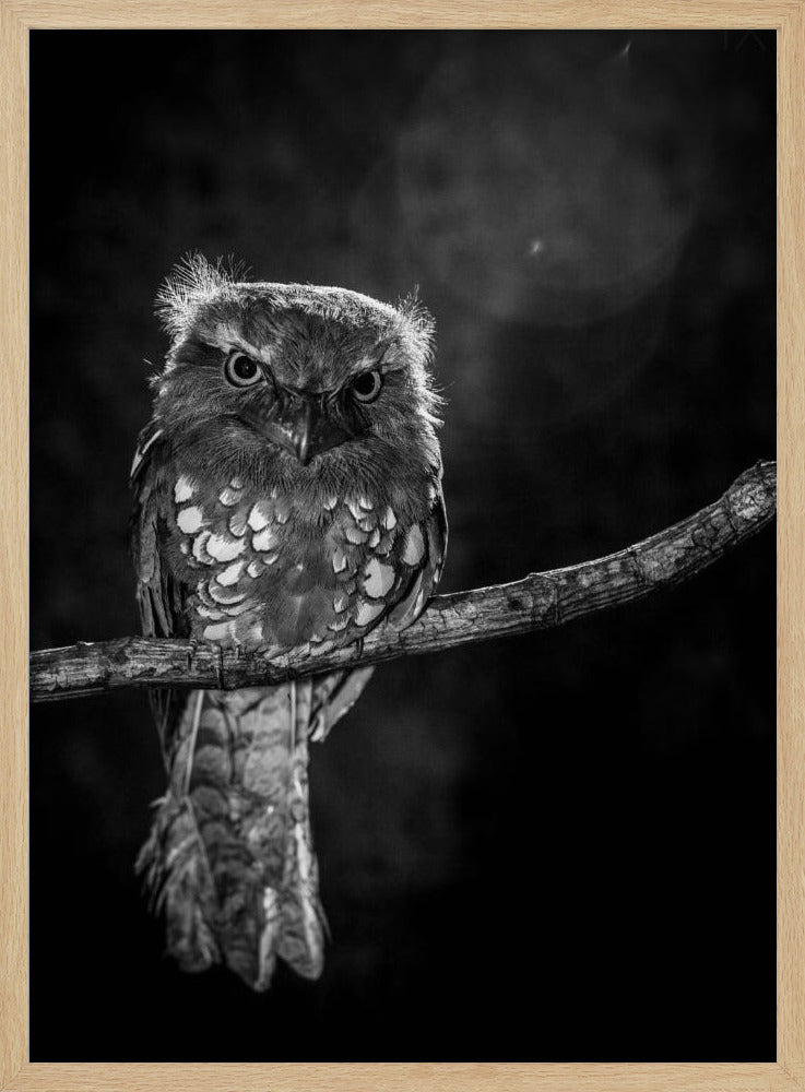 Alone in the night Poster