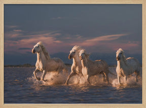 Angels of Camargue Poster