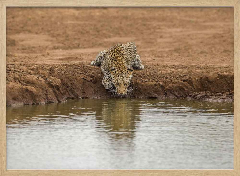 Going down low Poster