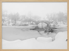 The first snow of central park Poster