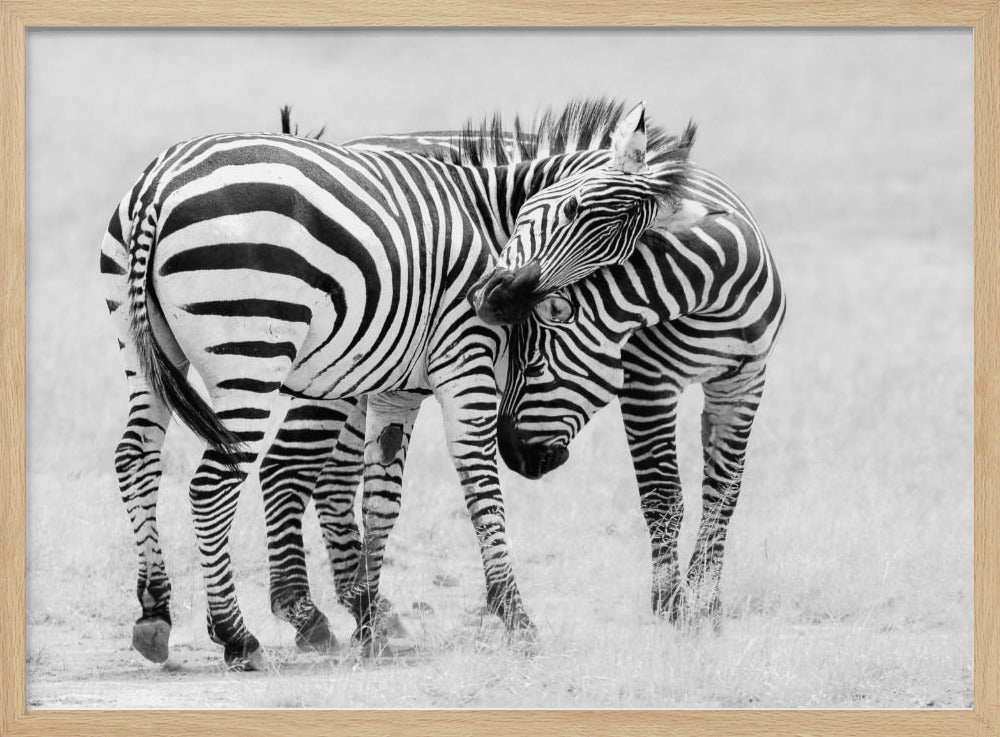 Tender Moment Poster