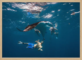 Dive with Manta Ray Poster