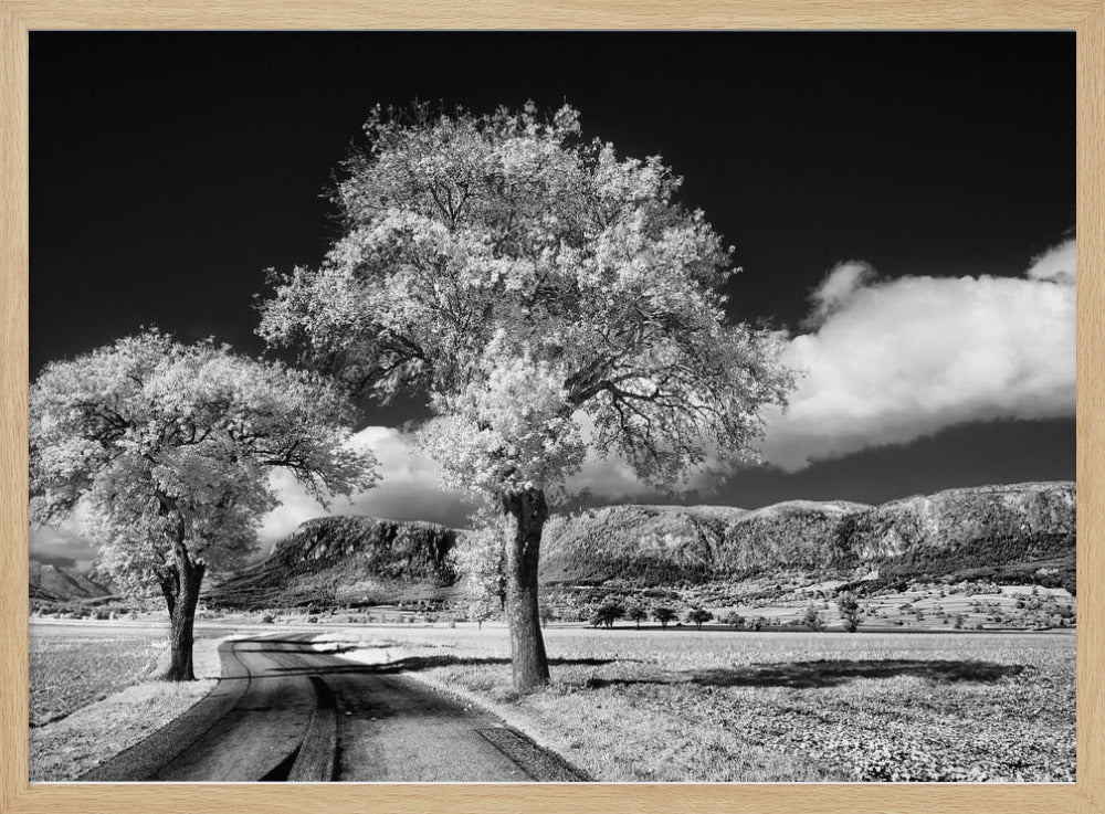 Hohe Wand Poster