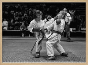 Mawashi geri Poster