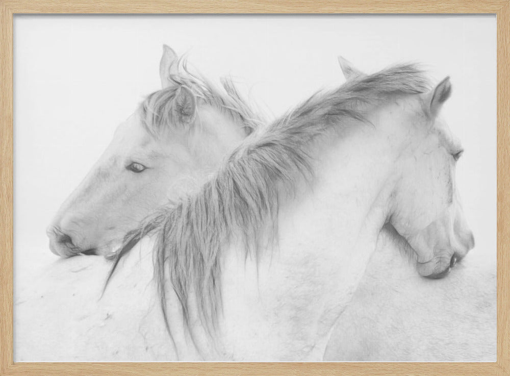 Horses Poster