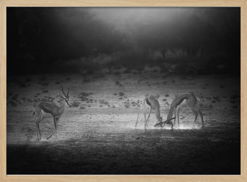 IN THE LIGHT OF SUNSET Poster