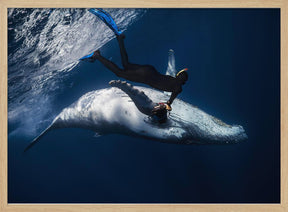 Dancing with whale Poster