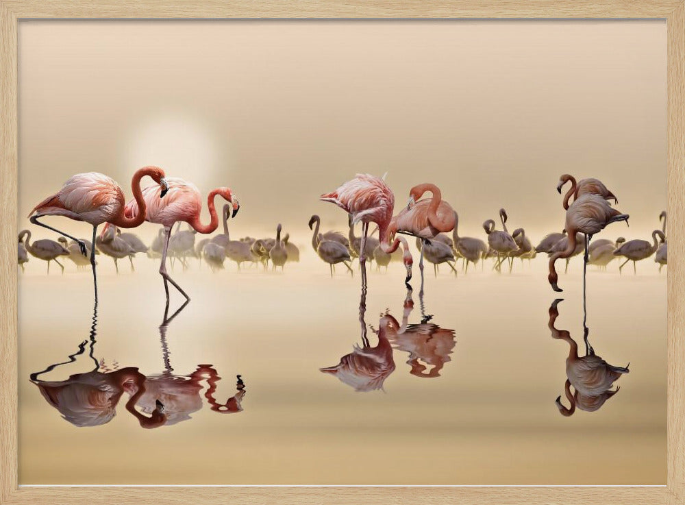 FLAMINGOS Poster