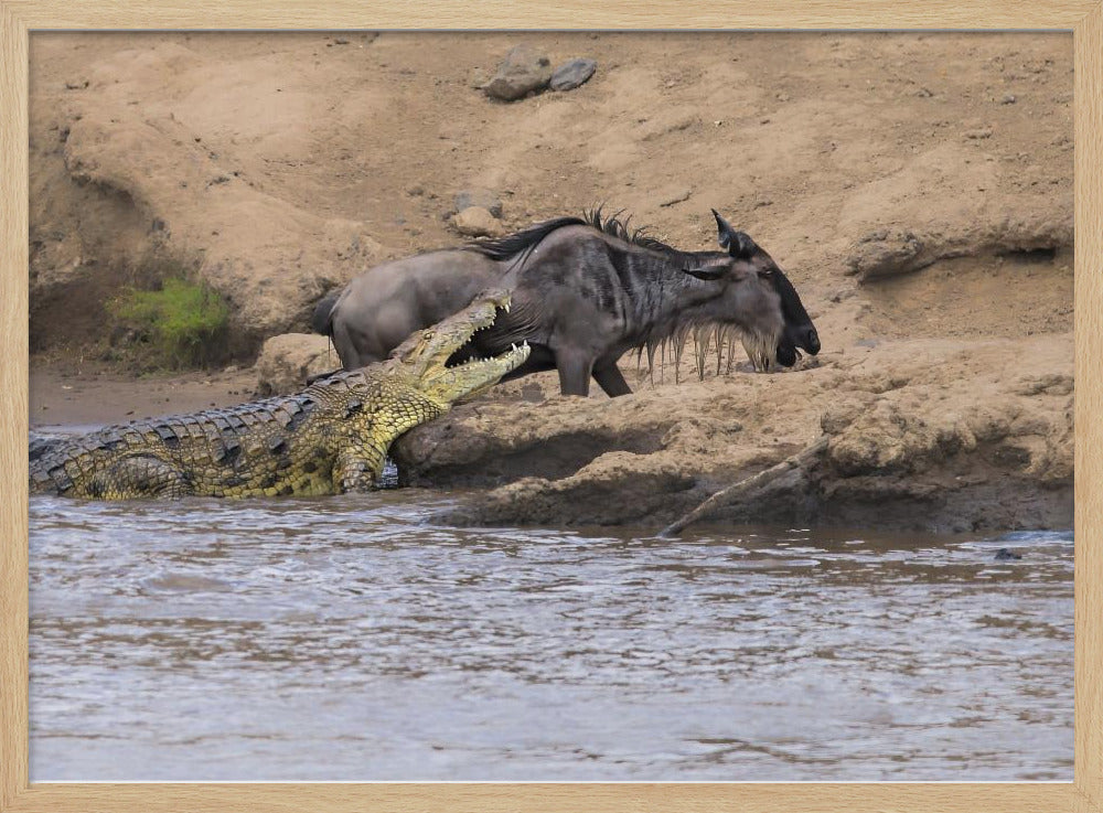 You Can't Get Me Poster