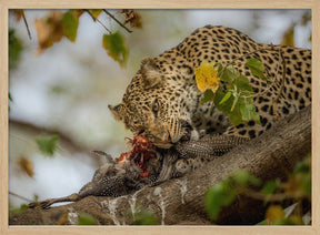 GUINEAFOWL KILL Poster