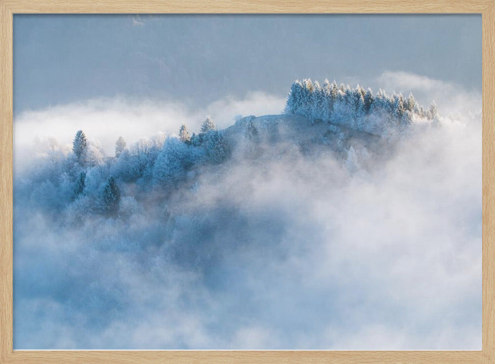 Frozen morning Poster